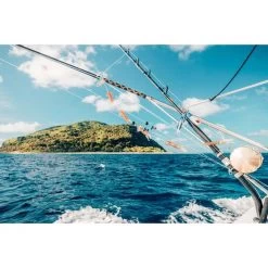 Shimano Tiagra 30WA LRS Overhead Reel -Fishing Supplies Sale BCF 136195 02 hi res