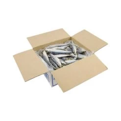 Tweed Bait IQF WA Pilchards 4kg