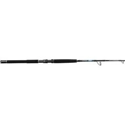 Shimano TCurve Deep Jig Overhead Rod