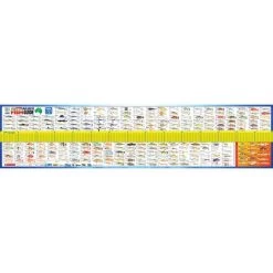 AFN Maxi Fish Ruler