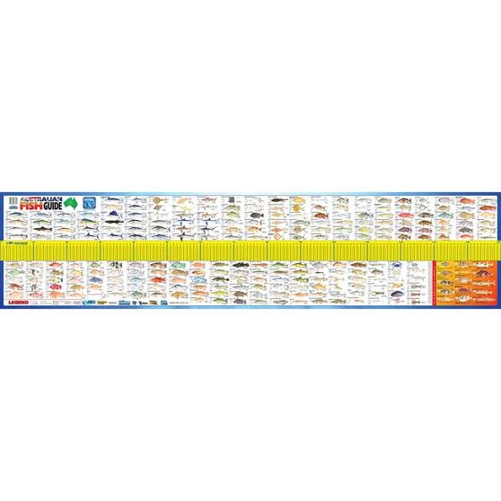 AFN Maxi Fish Ruler 3 AFN Maxi Fish Ruler