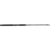 Shimano Beastmaster Spinning Rod