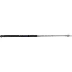 Shimano Beastmaster Spinning Rod