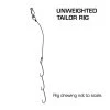 Pryml Unweighted Tailor Rig -Fishing Supplies Sale BCF 576731 00 hi res