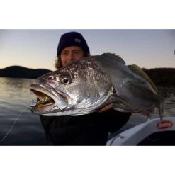 Berkley PowerBait Hollow Belly Soft Plastic Lure 6in Hitch -Fishing Supplies Sale BCF 581021 02 hitch hi res