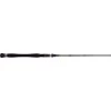NS Black Hole Amped II Baitcaster Rod