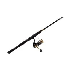 Daiwa Crest LT Spinning Combo