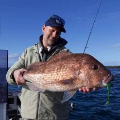 Daiwa BaitJunkie Jerkshad Soft Plastic Lure 7in Baby Bass