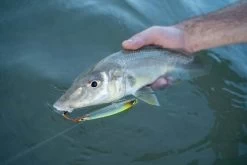 Daiwa Infeet Slippery Dog TG Tune Surface Lure 80mm Krill