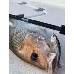 Nomad Vertrex Max Soft Vibe Lure 95mm Bleeding Mullet 11 Nomad Vertrex Max Soft Vibe Lure 95mm Bleeding Mullet -Fishing Supplies Sale BCF 605900 04 bleedingmullet hi res