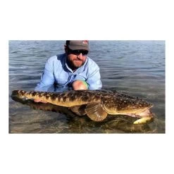 MMD Whiting Glide 180 Floating Suspending Glidebait 180mm Sand -Fishing Supplies Sale BCF 611457 04 sand hi res