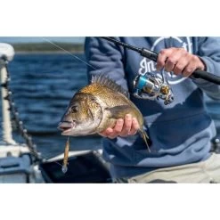 Daiwa Freams LT Spinning Reel 3000 -Fishing Supplies Sale BCF 613016 06 hi res