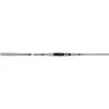 NS Black Hole Explorer Spinning Rod