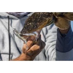 Berkley Powerbait Shrimp Soft Plastic Lure 2in Pink Glitter -Fishing Supplies Sale BCF 623041 05 pinkglitter hi res