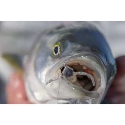 Berkley Powerbait Shrimp Soft Plastic Lure 2in Pink Glitter -Fishing Supplies Sale BCF 623041 07 pinkglitter hi res