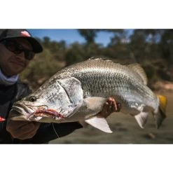 Berkley Shimma Shrimp Soft Vibe Lure 100mm Olive Shrimp -Fishing Supplies Sale BCF 623130 05 oliveshrimp hi res