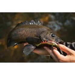 Berkley Shimma Shrimp Soft Vibe Lure 120mm Nuclear Shrimp 16 Berkley Shimma Shrimp Soft Vibe Lure 120mm Nuclear Shrimp -Fishing Supplies Sale BCF 623138 04 nuclearshrimp hi res