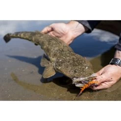 Berkley Shimma Shrimp Soft Vibe Lure 120mm Nuclear Shrimp 18 Berkley Shimma Shrimp Soft Vibe Lure 120mm Nuclear Shrimp -Fishing Supplies Sale BCF 623138 06 nuclearshrimp hi res