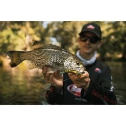 Berkley Shimma Shrimp Soft Vibe Lure 120mm Nuclear Shrimp 20 Berkley Shimma Shrimp Soft Vibe Lure 120mm Nuclear Shrimp -Fishing Supplies Sale BCF 623138 08 nuclearshrimp hi res