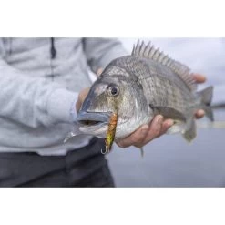 Berkley Shimma Shrimp Soft Vibe Lure 120mm Nuclear Shrimp 21 Berkley Shimma Shrimp Soft Vibe Lure 120mm Nuclear Shrimp -Fishing Supplies Sale BCF 623138 09 nuclearshrimp hi res