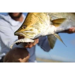 Berkley Gulp! Nemesis Paddle Tail Prawn Soft Plastic Lure 4in New Penny