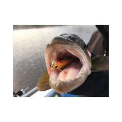 Hawk Sniper Hard Body Lure 60S Black Widow