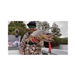 Hawk Sniper Hard Body Lure 60S Black Widow -Fishing Supplies Sale BCF 636335 04 blackwidow hi res