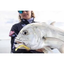 Berkley PowerBait Fan Tail Shrimp Soft Plastic Lure 2in Cappuccino