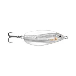 Livetarget Erratic Shiner Spoon Lure 14g Silver Pearl
