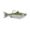 Livetarget Sardine Swimbait Lure 4.5in Silver Green -Fishing Supplies Sale BCF 644327 silvergreen hi res