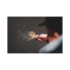 Daiwa Bait Junkie 2X Jig Heads 22 Daiwa Bait Junkie 2X Jig Heads -Fishing Supplies Sale BCF 646697 06 hi res