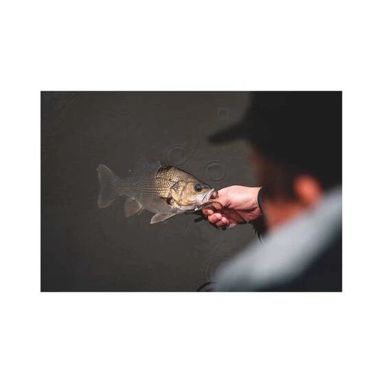 Daiwa Bait Junkie 2X Jig Heads 9 Daiwa Bait Junkie 2X Jig Heads - Image 7