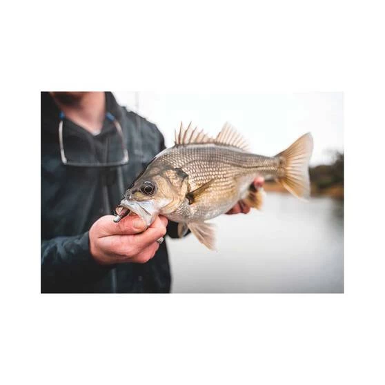 Daiwa Bait Junkie 2X Jig Heads 11 Daiwa Bait Junkie 2X Jig Heads - Image 9