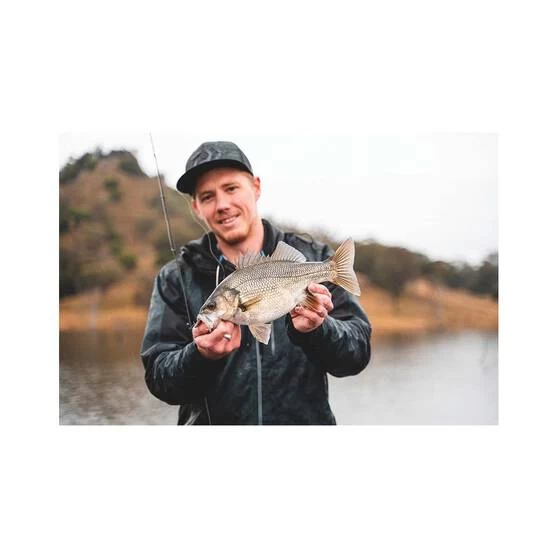 Daiwa Bait Junkie 2X Jig Heads 12 Daiwa Bait Junkie 2X Jig Heads - Image 10