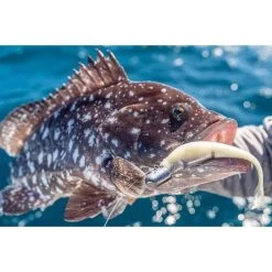 Daiwa Bait Junkie Finesse 0X Jig Heads -Fishing Supplies Sale BCF 646992 03 hi res