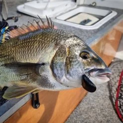 Blue Lip Baits Micro Mussel L Lure 3cm Dark Knight -Fishing Supplies Sale BCF 653365 03 darkknight hi res